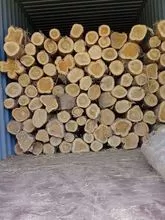 imagem dos produtos