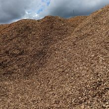 Wood chips for biomass 