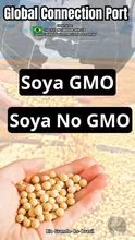 Soja,Soya GMO No GMO