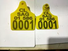 Animal ear tags