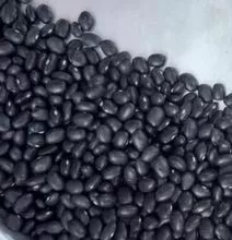 Bean 