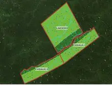 I am selling area for ICMBIO not Amazonas, (Carbon BONUSES)