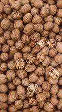 Cheap factory price dried Tiger nuts 