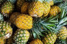 Wholesale farm Sweet fresh quality pineapple for sale