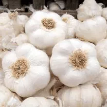Promotion price fresh white garlic