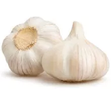 Wholesale fresh white garlic