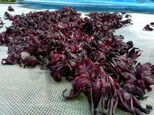 Dried roselle flower