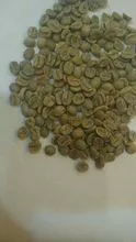 Grãos de café robusta torrados para venda