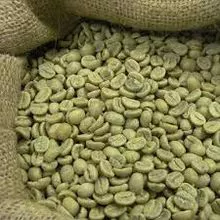 Direct farm green Arabica coffee beans 