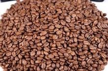 Roasted robusta coffee beans for sale