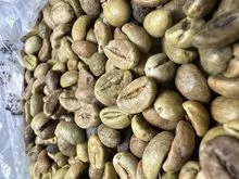 5 LB BRAZIL BRASIL BRAZILLIAN CONILON GREEN UNROASTED RAW COFFEE BEANS -  ROBUSTA