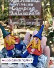 Gnome of Taquaruçu