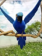 imagem dos produtos