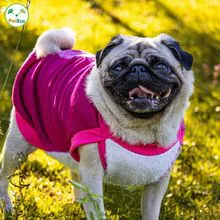 Unique pet clothing 