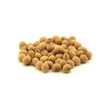 Semilla de soja