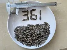 imagem dos produtos