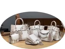 Gradiente Himalayan platino importación De nilo cocodrilo cuero de mujer bolso de mano 25cm soporte personalización