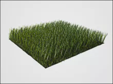 InnovaGrass