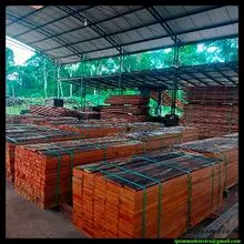 Maderas aserradas y/o cepilladas y/o disecadas. Prestamos servicios a terceros.