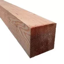 IRON WOOD 