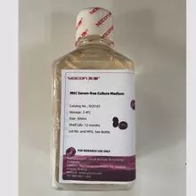 Umbilical Cord MSCs Serum-free Medium