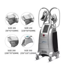 Cosmetic Salon and Clinic Use Weight Loss Cryolipolysis Cryotherapy Machine