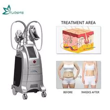 4 Handles Double Chin Removal Weight Loss Cryolipolysis Fat Freeze Slimming Machine for Salon Beauty SPA