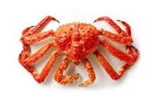 King Crabs