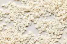 Premium Short Grain Rice: Quality and Convenience at Your Doorstep