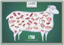 Borrego Halal fresco e (partes-cuts) BONS PREÇOS Paquistão & Sudanese Origin (Fresco-Refrigerado) Produtos de carne