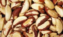 Nueces de Brasil disponibles en stock