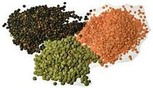 Lentils (RED/GREEN/YELLOW)