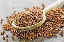 Hot Selling buckwheat