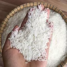 Arroz branco de grão longo 5% 10% 15% 25% 100% quebrado a granel com preço barato