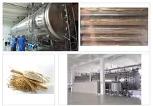 Industrial vacuum belt dryer for Malt Cocoa Herbal Plant Extract Powder Instant Beverage