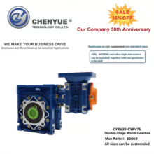 CHENYUE Double-stage Worm Gearbox CYRV30 + CYRV63