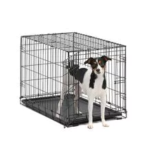 dog crate, house, cage