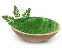 Polvo de Moringa Oleifera