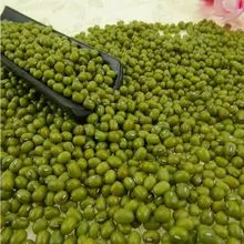 Split green mung bean from ZA with high quality
