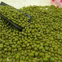 Split Green Mung Bean Available for 2020