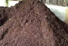 Compost de hongos