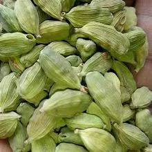 Nueces de cardamomo verde