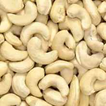 Raw Cashew Nuts for export 