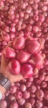 Cebola Roxa Fresca
