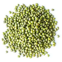 Venda quente Green Mung Beans disponível para 2023