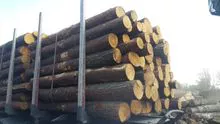 Padrão Europeu de madeira EUR/EPAL-palete para o seu transporte de qualidade de mercadorias de pinho WOOD cortes frescos preços são muito baratos