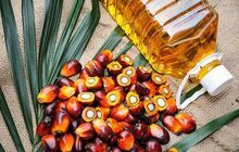 Aceite de palma (refinado y crudo)