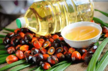 Palm Oil