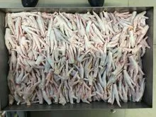Pollo entero, patas de pollo congeladas Patas de pollo procesadas congeladas