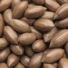 peacan nuts